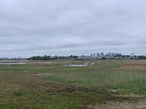 Belle Isle Marsh in the foreground with Boston Logan Airport and the Boston skyline in the background.