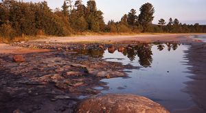 Trees along a shoreline are reflected in the water's edge at Bete Grise Preserve in Michigan's Keweenaw Peninsula. . 