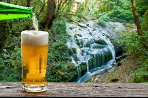 A beer being poured into a glass by a waterfall.
