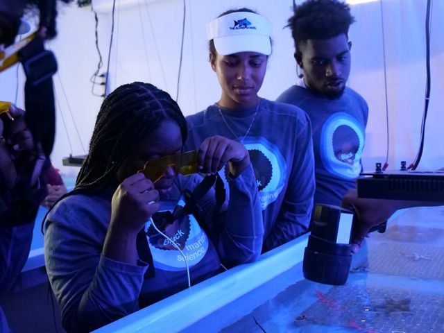 Three people in a lab viewing coral under UV light.