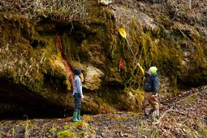 Two people hike alongside colorful moss-covered sandstone cliffs. One uses a kayak paddle to point to a spot on the cliff wall.