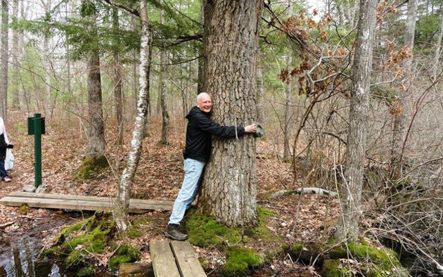 An older man hugs a large tree in the woods.
