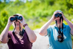 Two people look through binoculars.