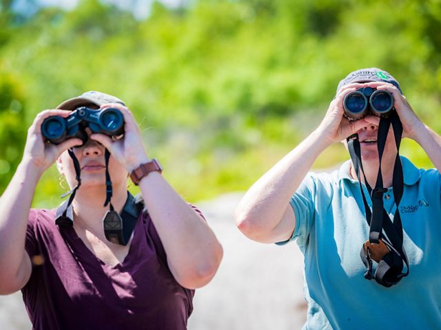 Two visitors look through binoculars at the preserve. 