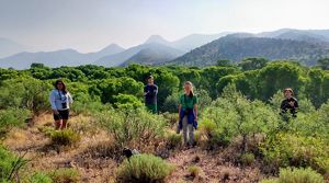 Four people stand socially distanced among shrubs with mountains in the background.