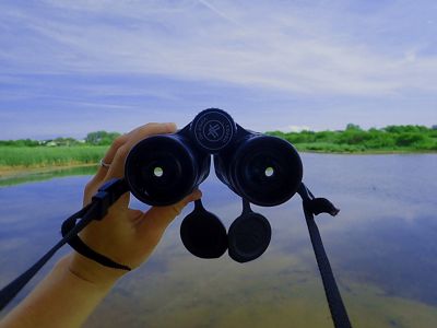Hands holding binoculars.