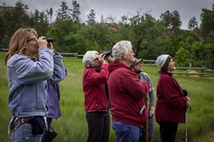 A group of birdwatchers holding up binoculars and looking toward the sky.