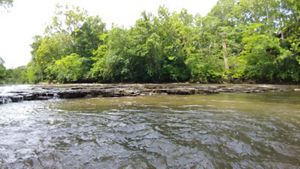 Water flows over natural rock ledge with green trees.
