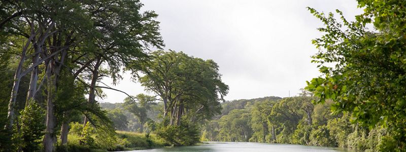 A blue river lined with dense green trees.