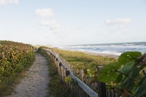 Photo of a coastal trail along a Florida beach at Blowing Rocks Preserve.