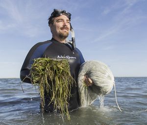Bo Lusk holds elgrass by hand half in water wearing scuba gear in South Bay, Virginia.