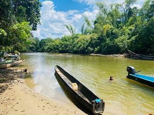Small boats sit near the shores of a tree-lined river.