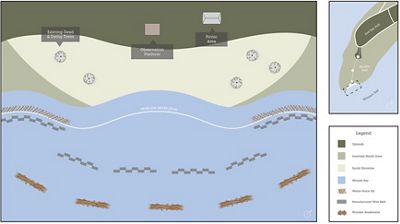 A proposed design for the Boyd Living Shoreline project in South Carolina.