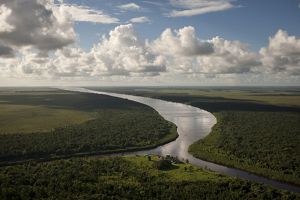 La Cuenca Amazónica: vital para nuestro planeta y toda la humanidad.