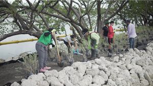 A team of people, with shovels in hand, work together to plant native vegetation along the coast.