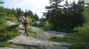 A person in a white shirt and hat wearing a red backpack hikes up a rock slab surrounded by trees.