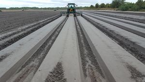 A tractor prepares neat beds of soil destined to be planted with cabbage.