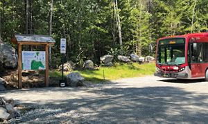 Bus stop near the All Persons Trail