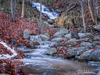 Waterfall in forest.