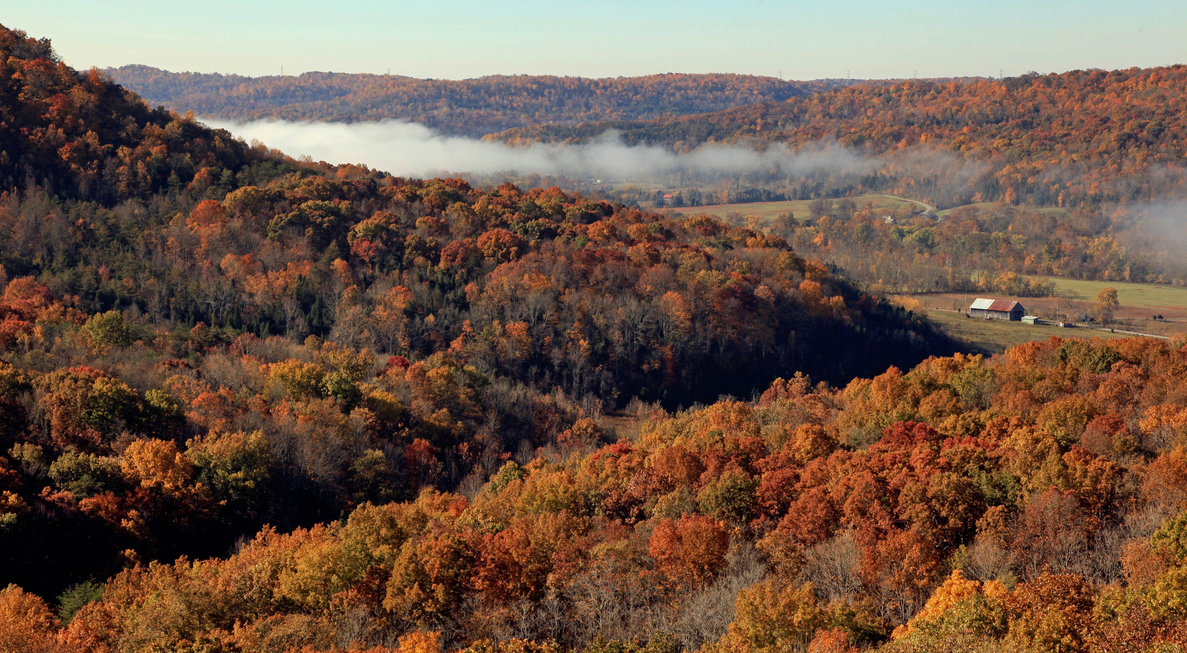 Misty hillsides with fall colors.