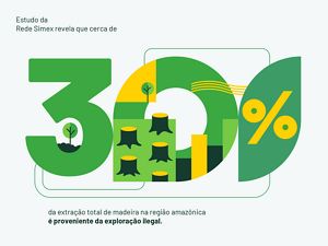 Dados do Mapeamento da Exploração Madeireira na Amazônia, realizado pela Rede Simex (Imazon, Idesam, Imaflora e ICV) e apresentado na COP-28.
