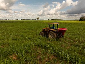 Agricultura sem desmatamento