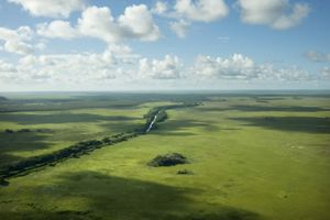 An aerial view of the expansive Oiapaque indigenous region in the Amazon, Brazil. The Nature Conservancy has been partnering with local indigenous communities in Oiapoque since 2001 to demonstrate how indigenous people can manage their lands reconciling biodiversity conservation with their economic, social and cultural needs.   