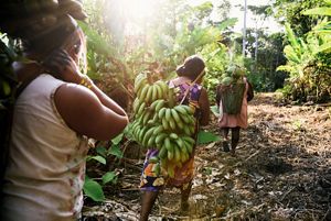  A COP30, em Belém, é uma oportunidade histórica para o Brasil mostrar ao mundo que é possível desenvolver com inclusão, equidade e floresta em pé.