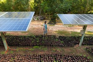 Elizar Samuel Gamara molhando mudas de plantas sob paineis solares que geram eletricidade para a bomba de água na Reserva Biocultural Kaxil Kiuic.