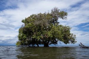BACIA DO TAPAJÓS, AMAZÔNIA.