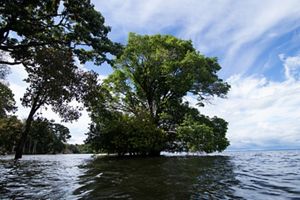 BACIA DO TAPAJÓS, AMAZÔNIA.