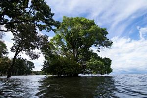 Bacia do Tapajós, na Amazônia.