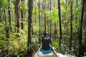 Se a crise climática é global, a adaptação local é a chave para a resiliência. 
