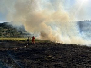 Cidades se tornam exemplos para um país que sofre cada vez mais com incêndios e queimadas