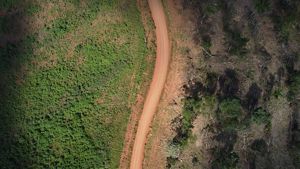 Vista aérea de área recém desmatada na beira de estrada em São Félix do Xingu-PA.
