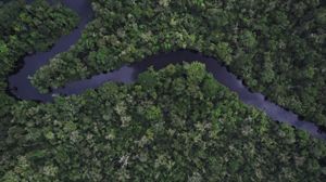 Imagem aérea de rio na floresta da Amazônia.