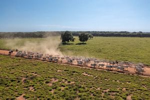 O Brasil deixou de discutir se é possível financiar uma agricultura sem desmatamento e passou a operar esse modelo em escala relevante.