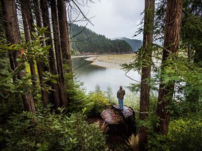 Fishing guide and Yurok tribal member, Pergish Carlson, stands atop a tree trunk and looks at the forests around the Klamath River in northern California.