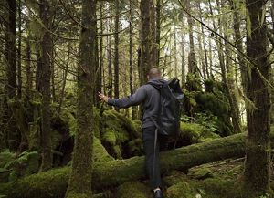 a man stands in a mossy green forest.