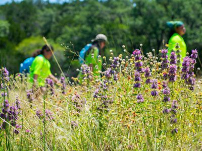 Three youths walk through a field of tallgrass with purple, white, and yellow flowers.