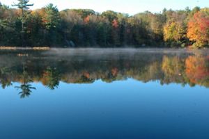 A reflection of orange and green leafed trees shows on the surface of a lake.