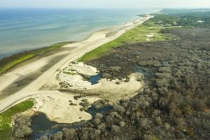 A shoreline features an example of coastal erosion.