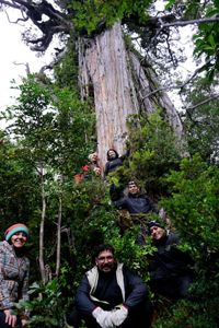 Parte del equipo involucrado en el proceso de datación.