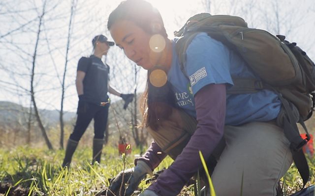 A woman crouches on the group planting a tree seedling. Another volunteer stands in the background behind her.