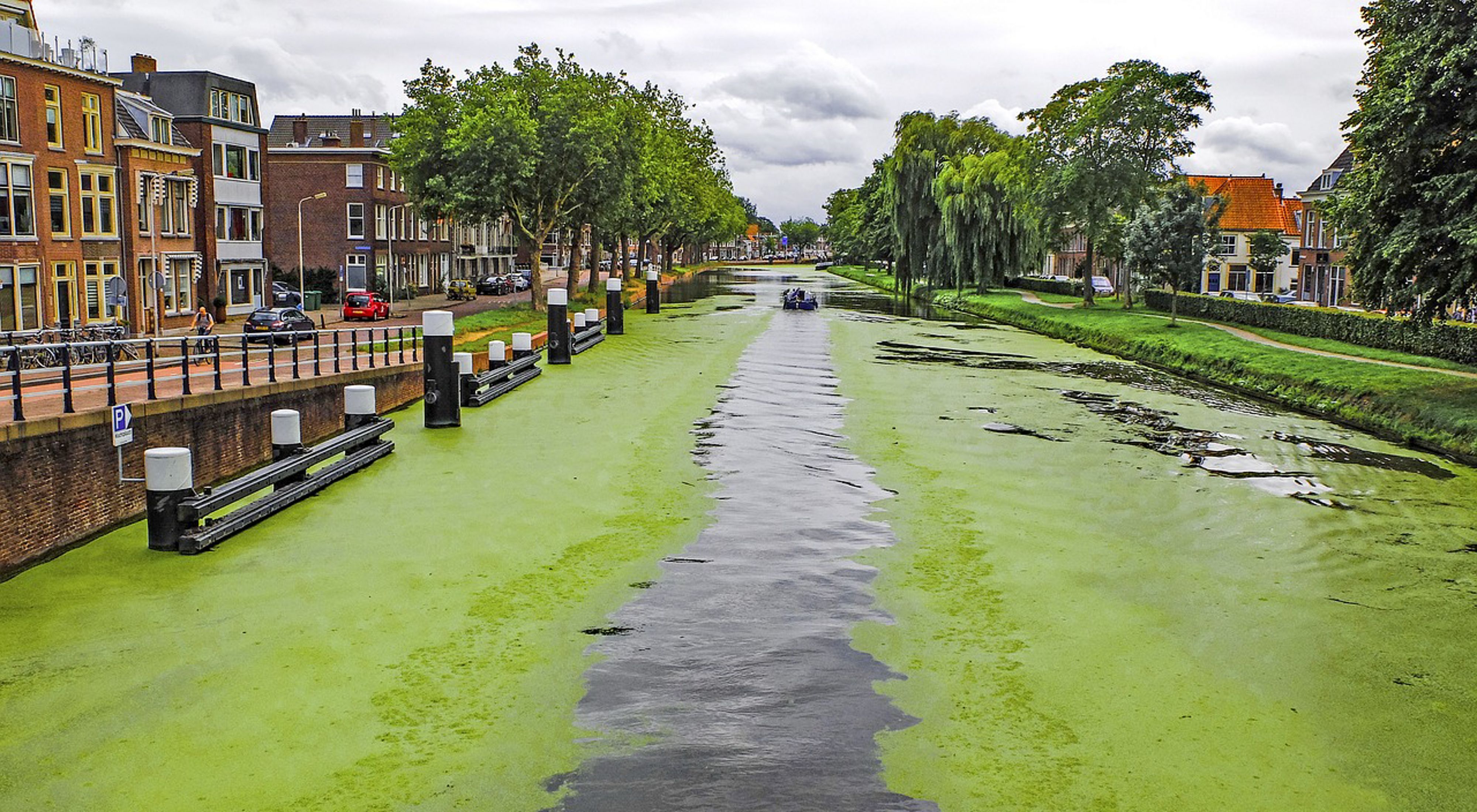 Canal with algae