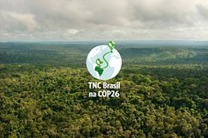 TNC Brasil na COP 26