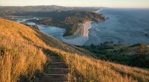 View from a hilltop overlooking the coast at Cascade Head Preserve.