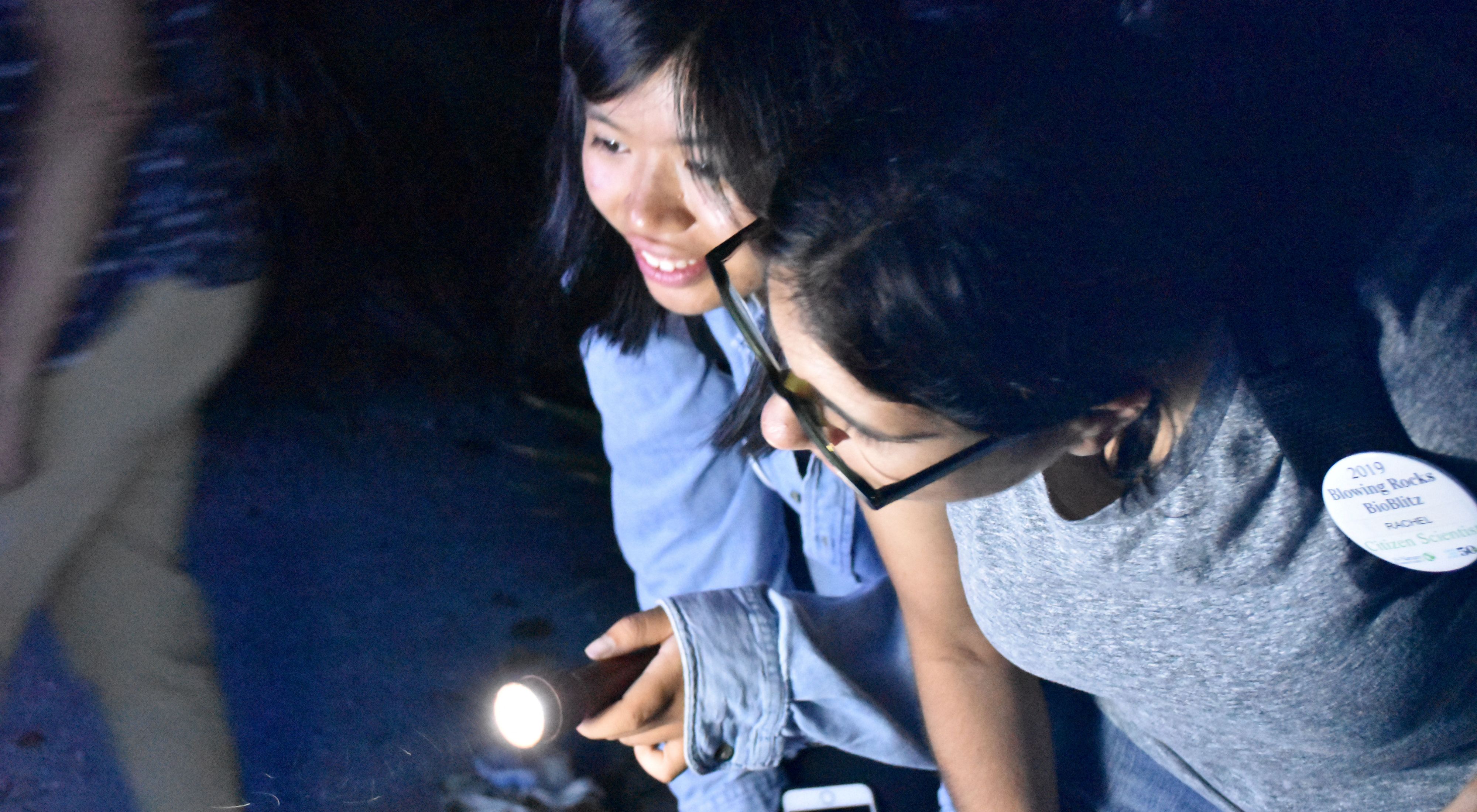 Two women observe insects at night during the Blowing Rocks Preserve BioBlitz. 