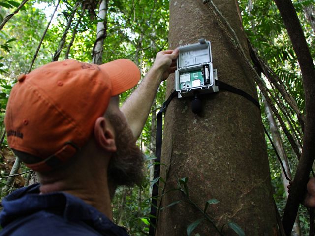 TNC 首席科學家 Eddie Game 在巴布亞新幾內亞使用錄音器材