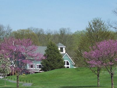Three redbud trees show their pink blossoms in the foreground. In the background a tall green building is partially obscured by the tall green hill in front of it.